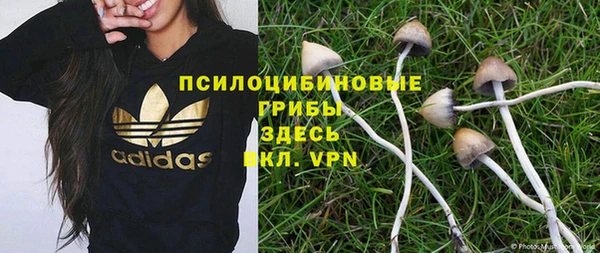 apvp Богородск