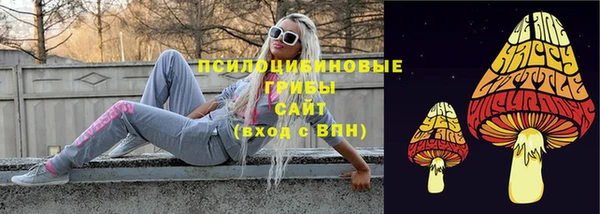 spice Беломорск