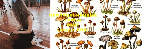 мдма Белокуриха