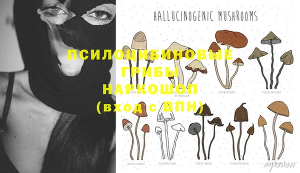 spice Беломорск