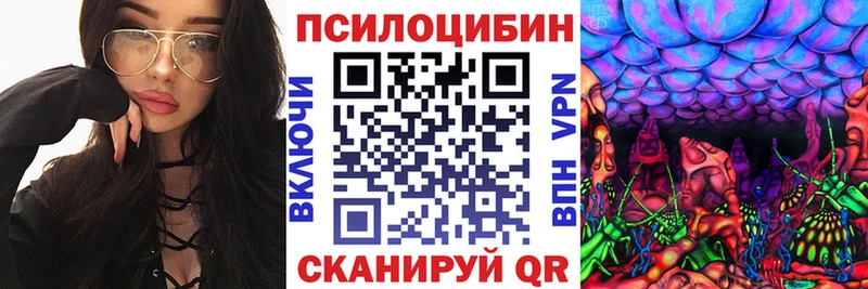 Купить закладки  Ковров  Галлюциногенные грибы Psilocybine cubensis 
