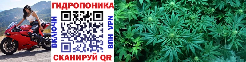 Купить закладки  Ковров  Бошки Шишки семена 